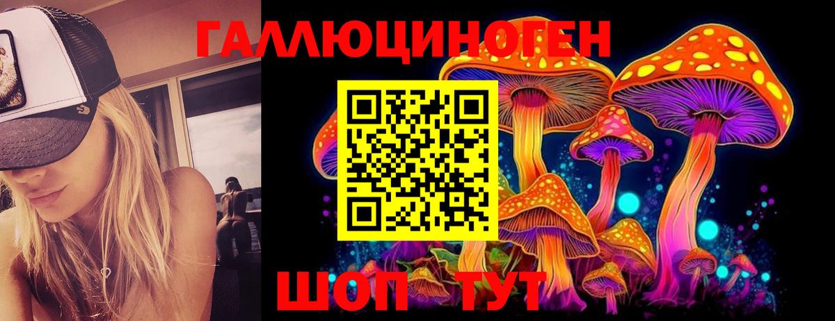 Ливны  Галлюциногенные грибы GOLDEN TEACHER  Вход с VPN  Галлюциногенные грибы ЛСД 